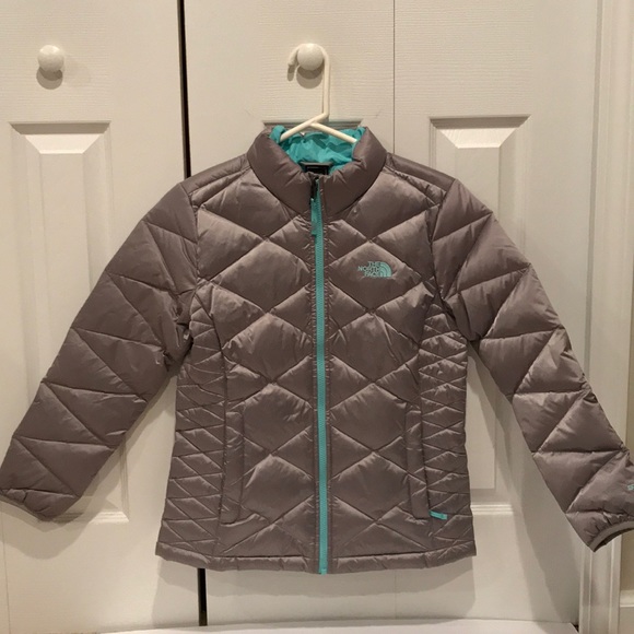 The North Face Other - The North Face Girls Silver 550 Jacket Size LG